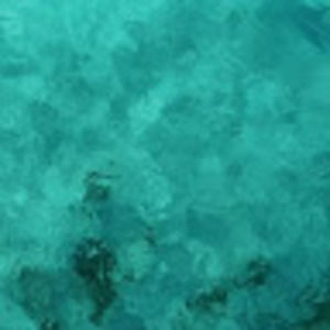 Meet your Posher, Mattea